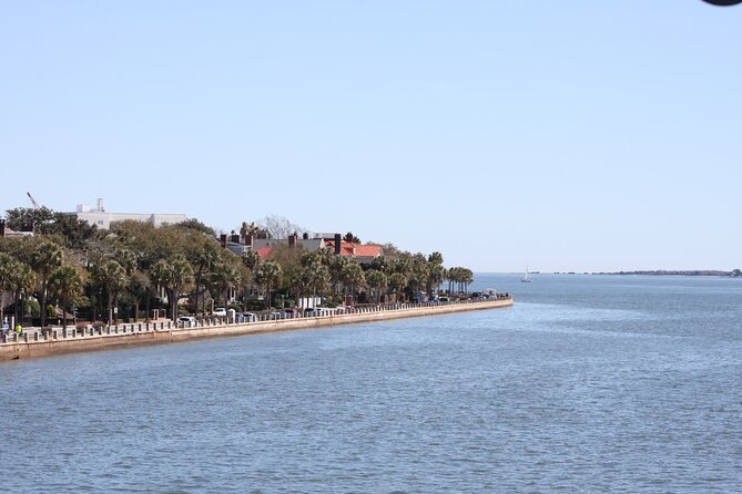 1.5-Hour Charleston Harbor Cruise with Live Narration - Dolphins, weather, and the pace of the ride