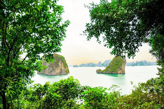 1-Day Bai Tu Long Bay Cruise: Pristine, Fun & Away fr the Crowds - The Afternoon Return Through Bai Tu Long