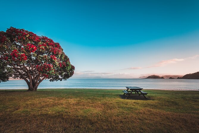 1 Hour Scenic Bay of Islands Tour - Paihia, the bay’s easy starting point