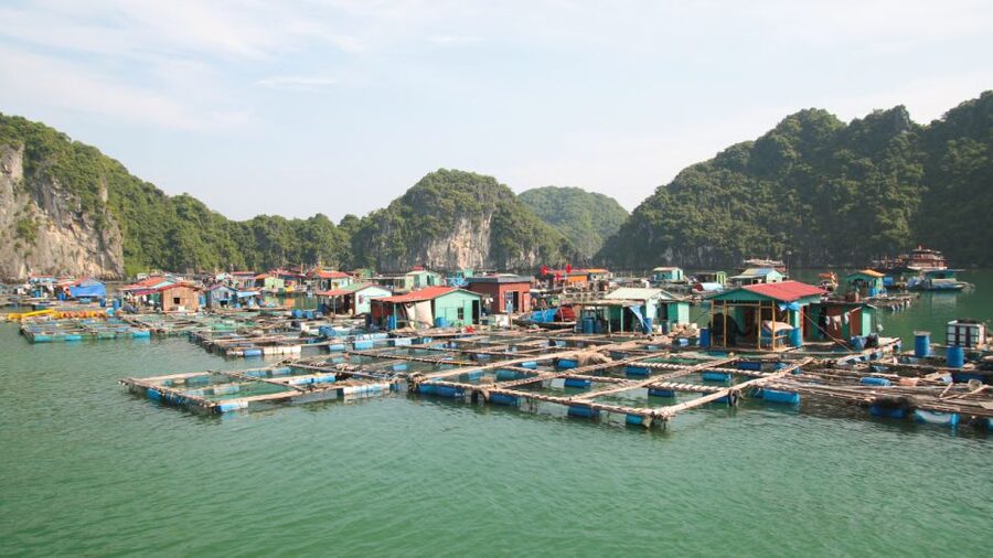 2-Day Ha Long Bay Cruise with Activities - Little Island and Mekong Cave by kayak