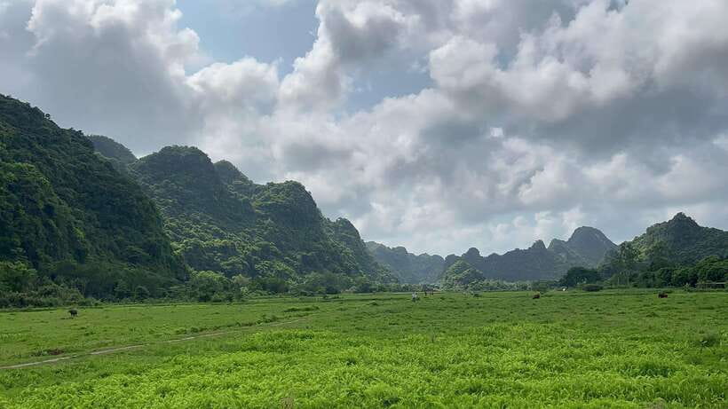 2-Day Lan Ha and Cat Ba Cruise Tour By 3 Star Cruise Ship - Swimming at Ba Tra Dao Islet