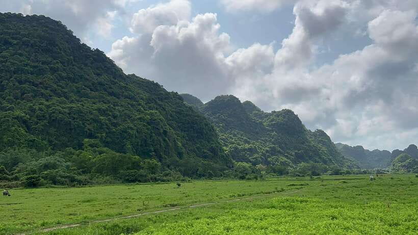 2-Day Lan Ha and Cat Ba Cruise Tour By 3 Star Cruise Ship - Cycling into Viet Hai Village
