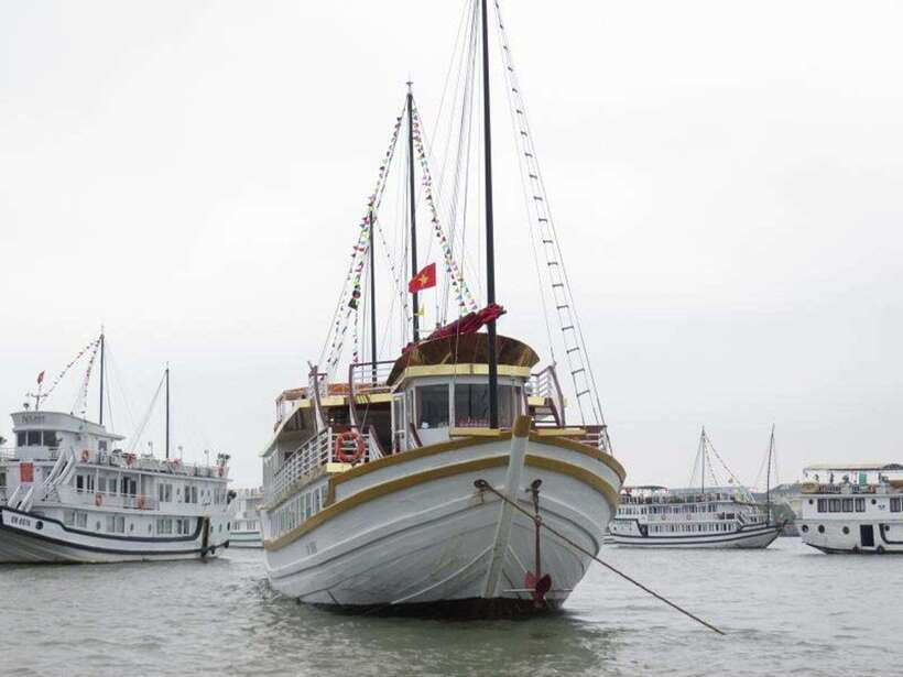 2-Day Peaceful in Bai Tu Long Bay with Luxury Cruise - Food, cabins, and onboard comfort