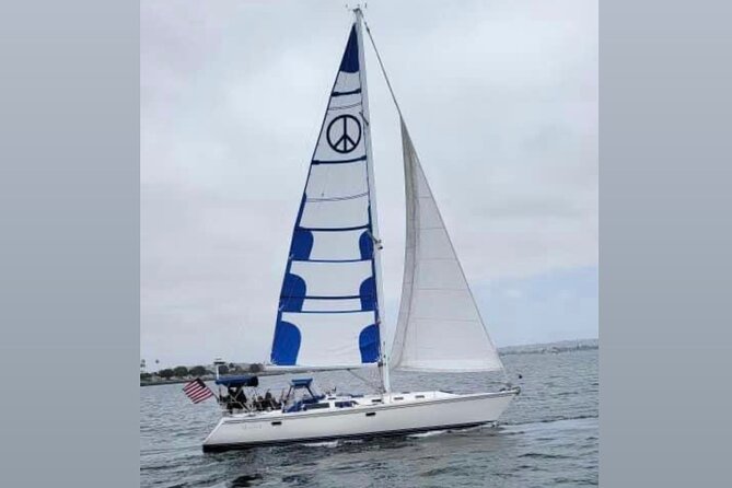 2-Hour Private Sailing Experience in San Diego Bay - Sea lions, pelicans, and the open end of the bay