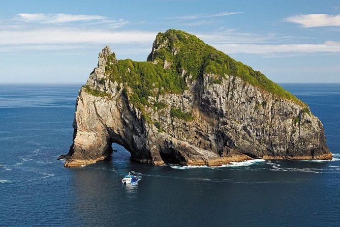 3-Day Bay of Islands Tour from Auckland - Day 2: Kauri trees, sand, and Cape Reinga