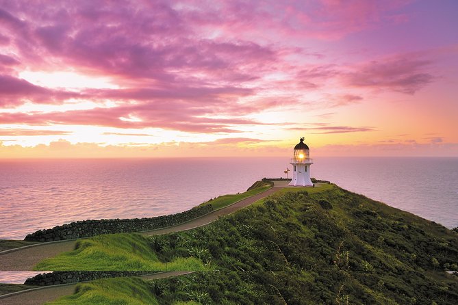 3 Day Bay Of Islands Tour from Auckland including Waitangi and Cape Reinga - Day 2: Cape Reinga, Puketi Forest, and Ninety Mile Beach