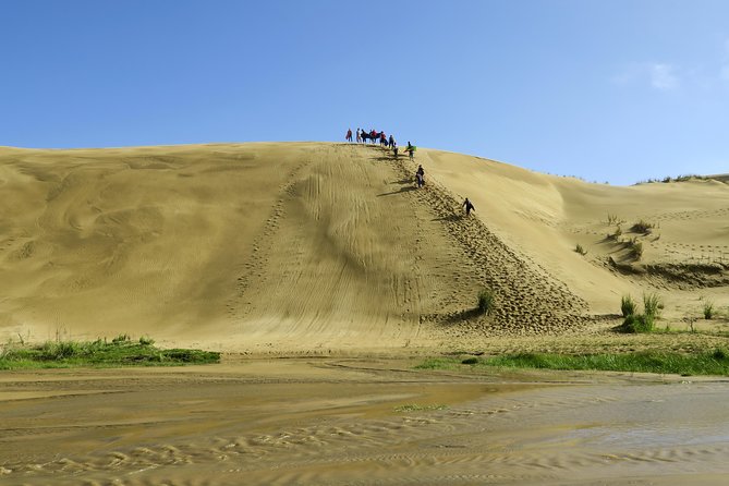 3 Day Bay Of Islands Tour from Auckland including Waitangi and Cape Reinga - FAQ