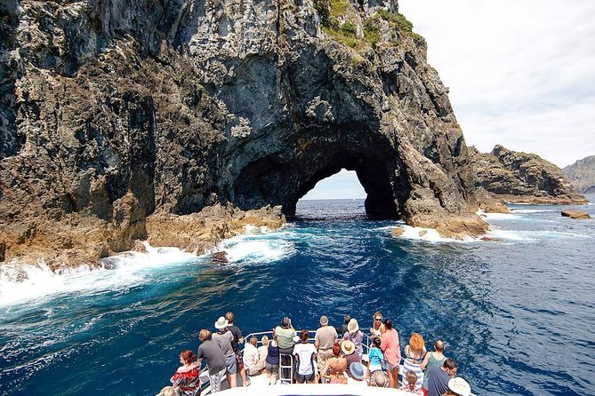 3 Day Bay Of Islands Tour from Auckland including Waitangi and Cape Reinga - Day 1: Auckland to Paihia and the Waitangi Treaty Grounds