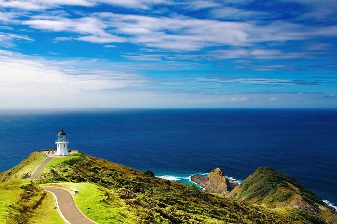 3-Day Bay of Islands Tour from Auckland - Day 1: Paihia, Russell, and the first cruise