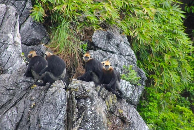 3-Day Discover the most stunning Cat Ba Island - Lan Ha Bay - Key points to know before booking