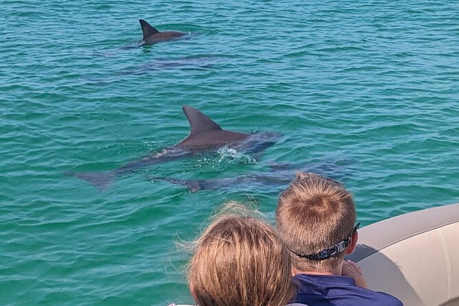 3 Hour Crab Island Tour from Destin Non-Private with Floats - Starting at 314 Harbor Boulevard in Destin