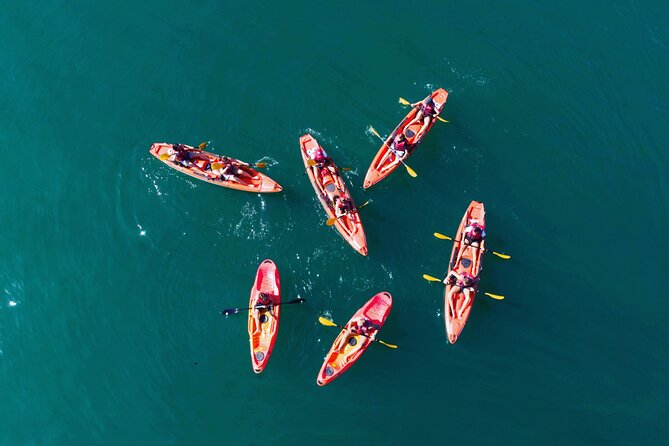 3 Hours Kayaking in Kotor Bay in Montenegro - Starting beside Kotor’s old town