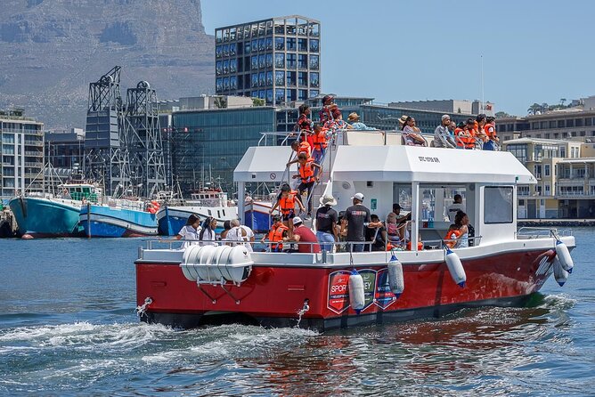 30min Harbour Boat Cruise Cape Town - What this 30-minute Cape Town cruise is really like