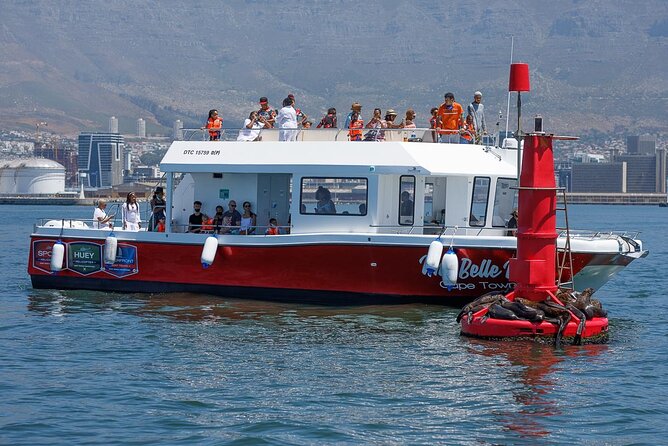 30min Harbour Boat Cruise Cape Town - The harbor route and its main sights