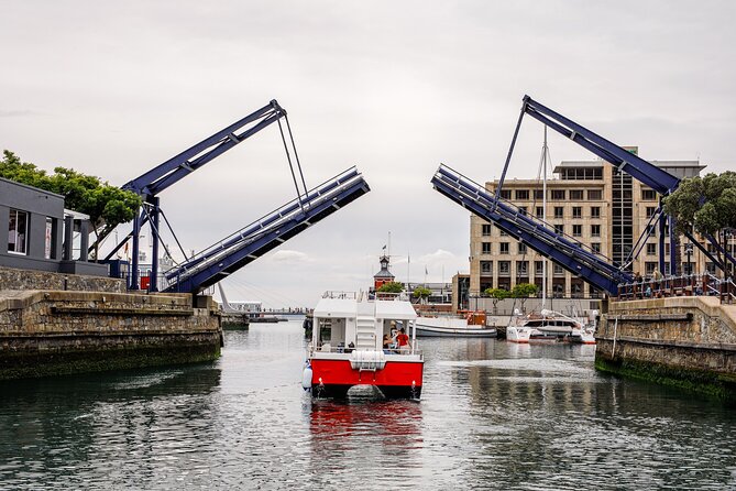 30min Harbour Boat Cruise Cape Town - Is $9.20 a good price?