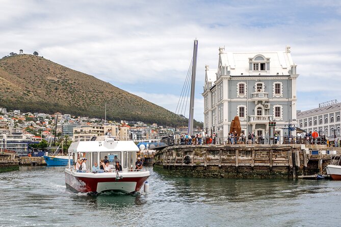 30min Harbour Boat Cruise Cape Town - Music, commentary, and the mood onboard