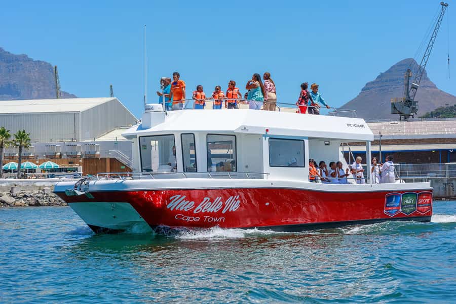 30min V&A Waterfront Harbour Cruise Cape Town - Shade, seating, and group comfort