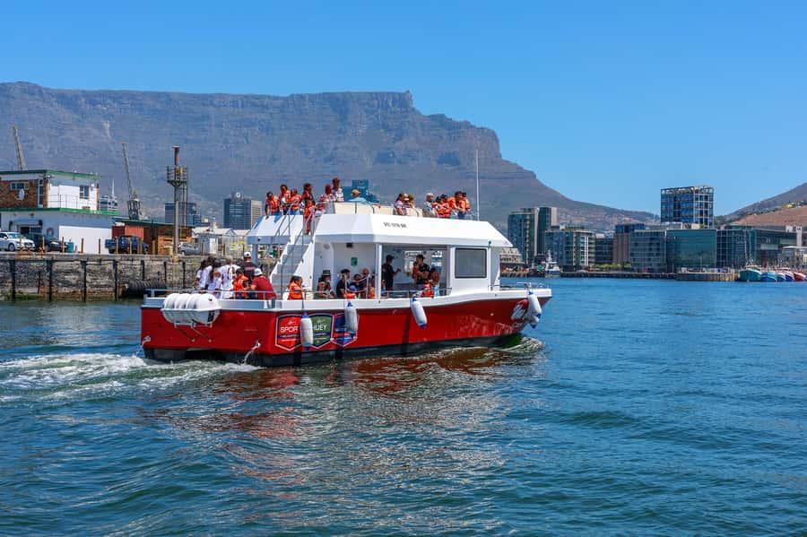 30min V&A Waterfront Harbour Cruise Cape Town - Who should book this harbour cruise