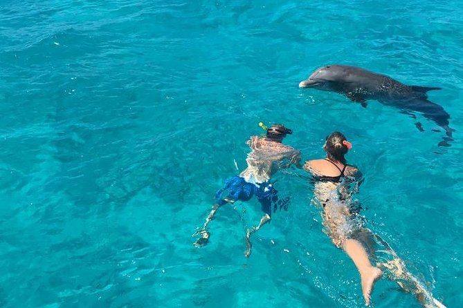 4-Hour Catamaran Sail and Snorkel Tour from Grace Bay - Half Moon Bay or Little Water Cay