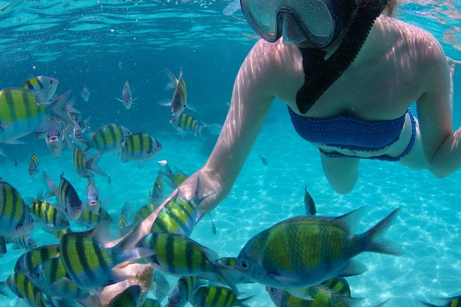 4-Hour Catamaran Sail and Snorkel Tour from Grace Bay - Lunch, rum punch, and the practical value of the fare