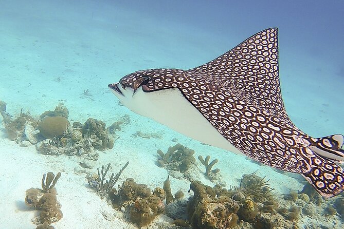 4 Hour Private Catamaran Sail and Snorkel from Grace Bay Beach, Providenciales - Choosing Between Half Moon Bay and Little Water Cay