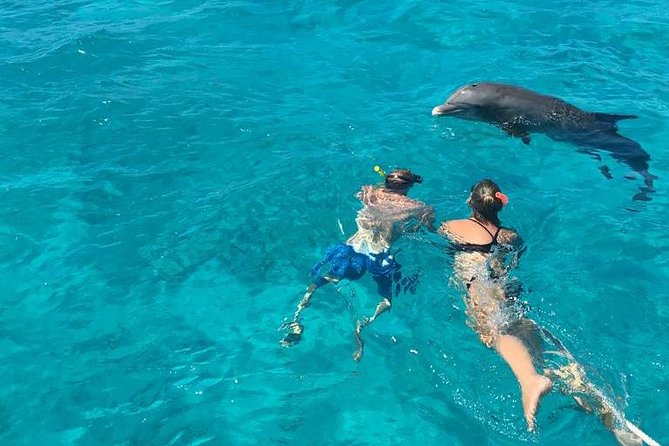 4 Hour Private Catamaran Sail and Snorkel from Grace Bay Beach, Providenciales - Who Will Enjoy This Charter Most?