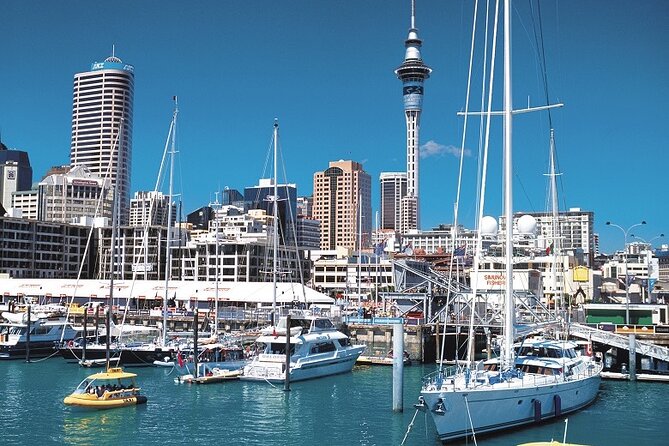 5-Day Bay of Islands, Auckland, Hobbiton, Rotorua & Waitomo Tour - Day 3: Auckland’s volcanic setting and free time