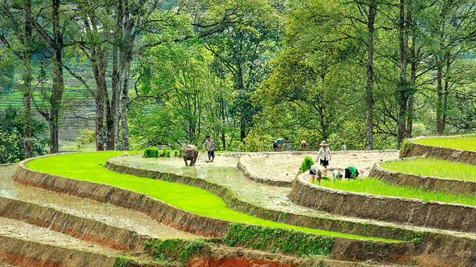 5-Day North Vietnam: Hanoi -Halong Bay -Ninh Binh-Sapa from Hanoi - Day two: the long ride to Sapa