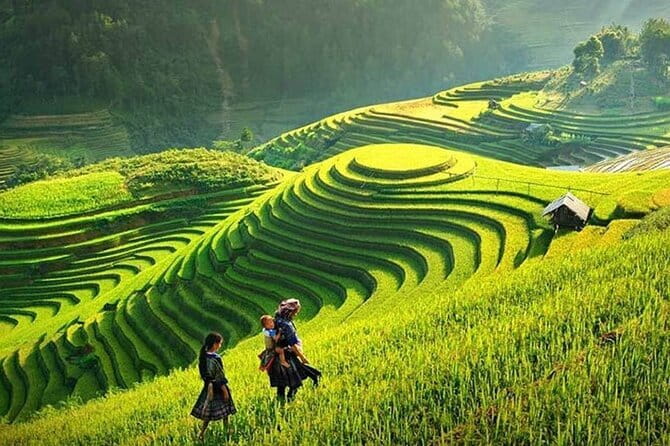 7 Days 6 Nights Special Package Hanoi - Halong - Sapa with Hotel 4 Star - Day 7: A short final morning and airport transfer