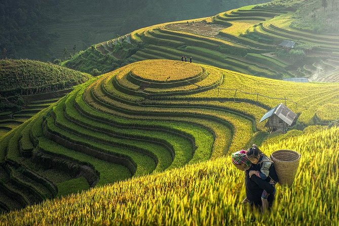 7 Days Package Hanoi- Halong -Sapa-Ninh Binh - Day 6: Hoa Lu, Tam Coc, Bich Dong, and Mua Cave