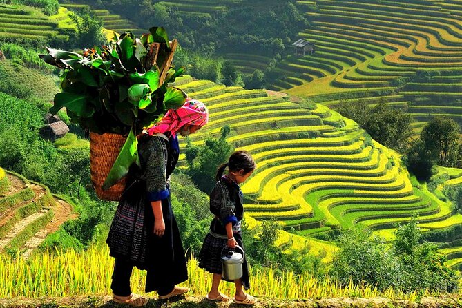 7 Days Vietnam Travel (Hanoi- Ninh Binh - Sapa - Ha Long) - What the $586 price really covers