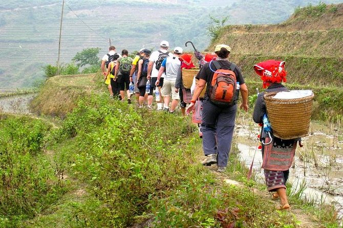 8-Day Discover Northern Vietnam Highlight: Hanoi - Ninh Binh - Sapa - Halong Bay - What the $515 price really buys
