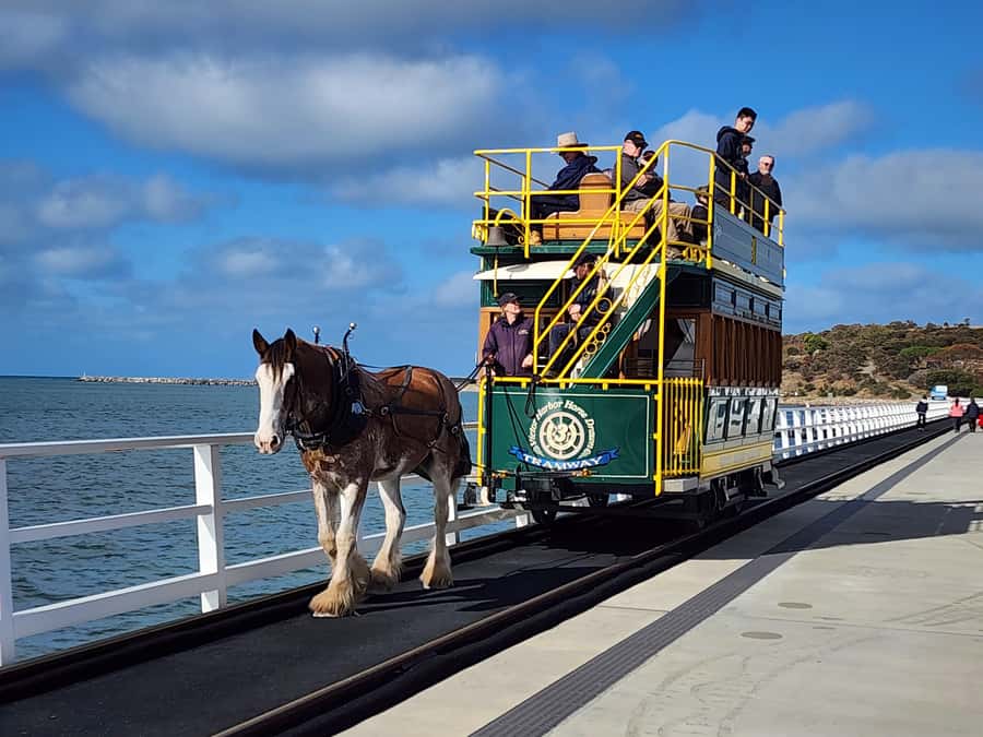 Adelaide: McLaren Vale, Port Elliot & Victor Harbor Tour - Key points to know before booking