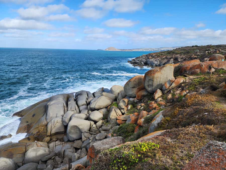 Adelaide: McLaren Vale, Port Elliot & Victor Harbor Tour - McLaren Vale Visitor Centre: a useful first stop