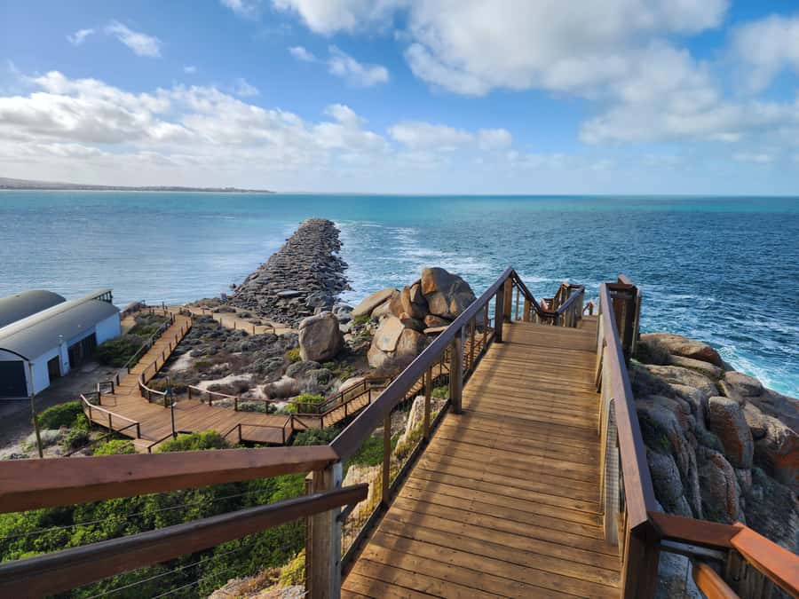 Adelaide: McLaren Vale, Port Elliot & Victor Harbor Tour - Two open hours in Victor Harbor