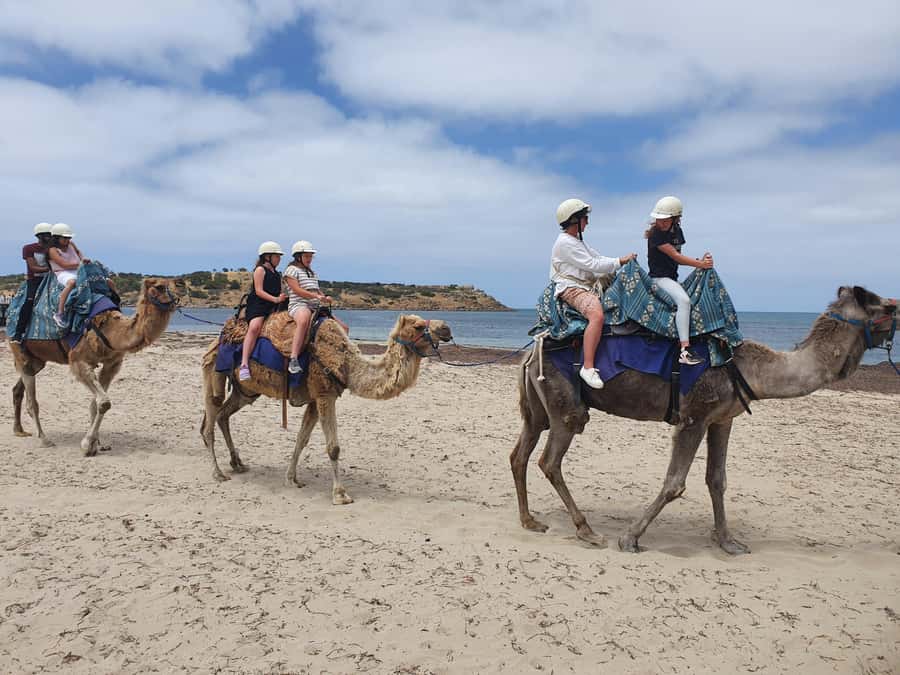Adelaide: McLaren Vale, Port Elliot & Victor Harbor Tour - Is $119 a fair price?