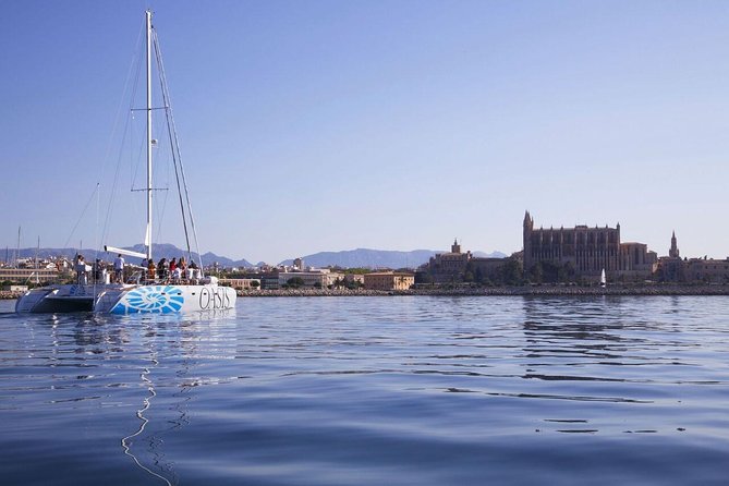 Adult Only Sunset Catamaran Palma bay - The catamaran’s space and comfort