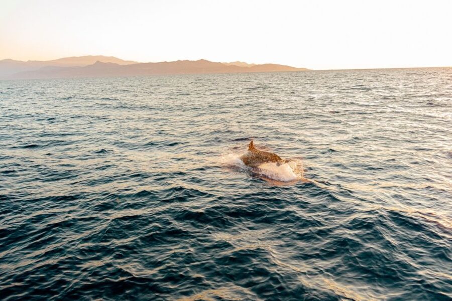 Agios Nikolaos: Mirabello Bay Sailing Cruise with Meal - Is $112 a fair price?