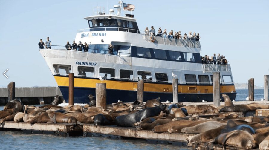 Alcatraz Island Prison Tour & Bay Cruise Combined Package - What the separate bay cruise adds