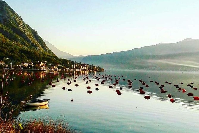 Around Boka Bay Private tour - Porto Montenegro and Tivat