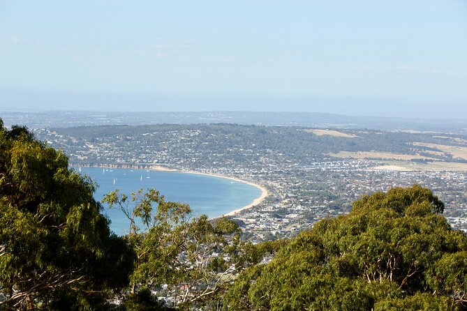 Around the Bay Sightseeing and Bay Cruise - Arthurs Seat and Murrays Lookout