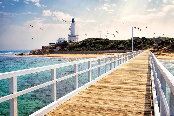 Around the Bay Sightseeing and Bay Cruise - Starting at Geelong Waterfront
