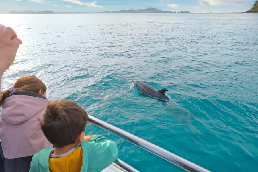 Auckland: 2-Day Bay of Islands Small Group Tour with Cruise - Opononi Beach and the road to Paihia