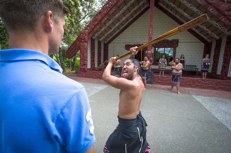 Auckland: 2-Day Bay of Islands Small Group Tour with Cruise - The ride back to Auckland