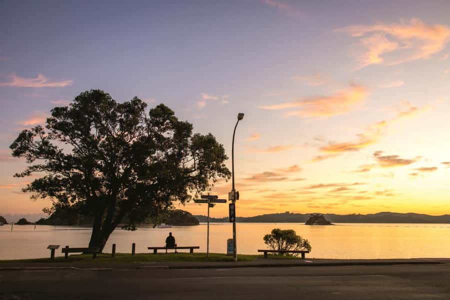 Auckland: 2-Day Bay of Islands Small Group Tour with Cruise - From Auckland to the Kauri Museum