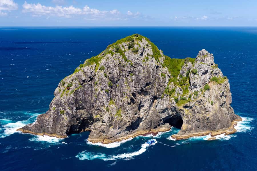 Auckland: Bay of Islands Day Tour with Dolphin Cruise - What to bring and what not to expect
