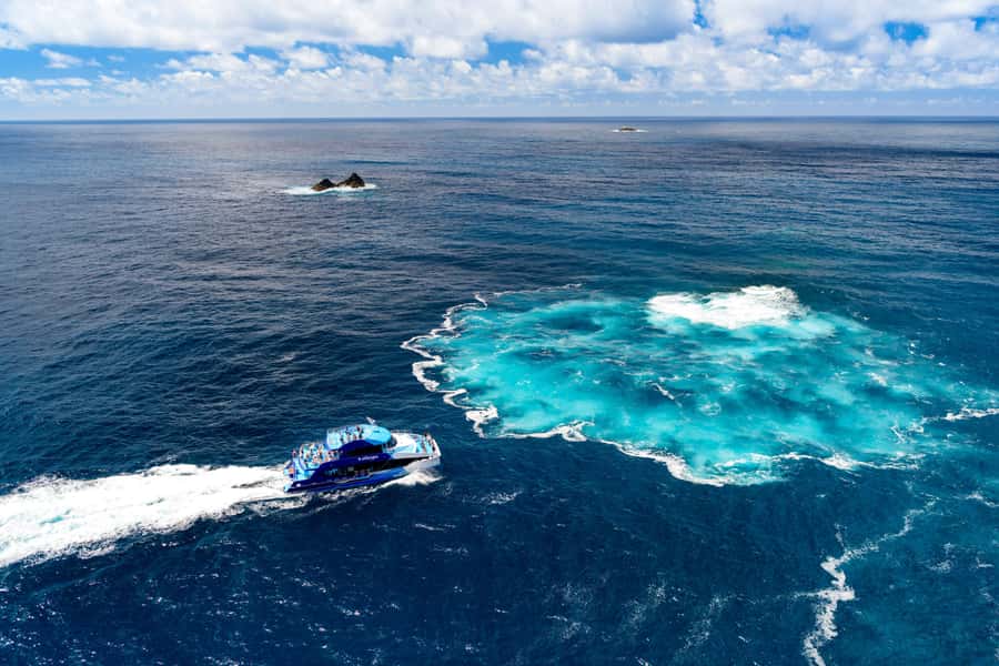 Auckland: Bay of Islands Day Tour with Dolphin Cruise - Is $283 good value?