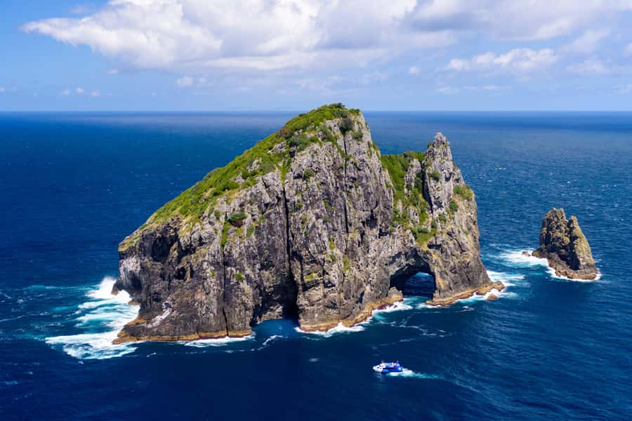 Auckland: Bay of Islands Day Tour with Dolphin Cruise - Should you book this Auckland to Bay of Islands tour?
