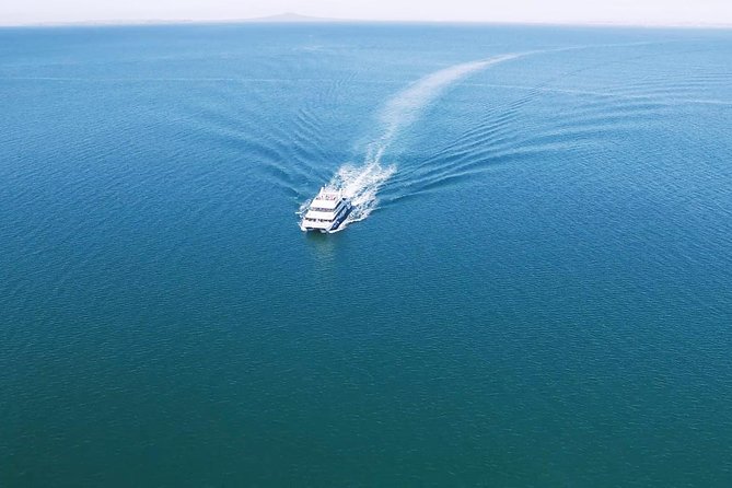 Auckland Harbour Cruise - Why Auckland is best understood from the harbour
