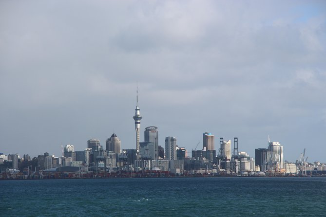 Auckland Harbour Cruise - Bean Rock Lighthouse and the harbour’s working side
